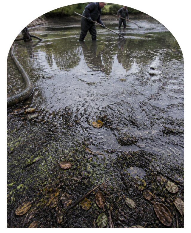 Очистка пруда в Удомле от ила мусора и водорослей с вывозом
